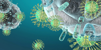 Immuno-Hormonologie Immuno-Hormonologie